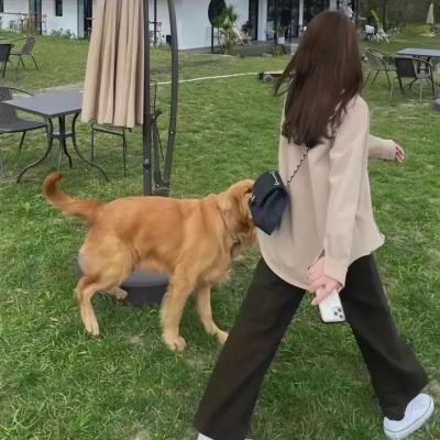 人工智能